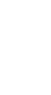 particles